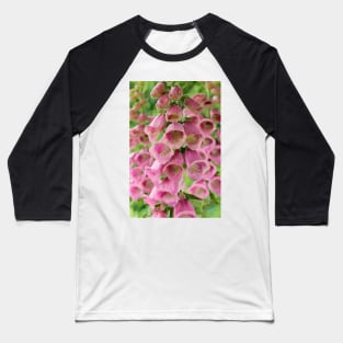 Digitalis × mertonensis  AGM  Strawberry foxglove Baseball T-Shirt